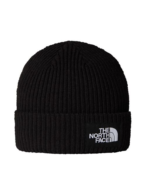 kids salty lined beanie THE NORTH FACE | NF0A8CGSJK31